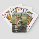 Buscar risa barajas de cartas Burro