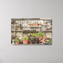 Buscar california cuadros Planta