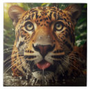 Buscar gatos salvajes azulejos Felino