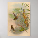Buscar pájaro blanco y negro posters Vintage