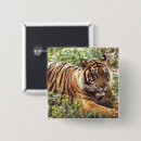 Buscar animal fotografía pins Salvaje