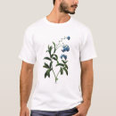 Buscar myosotis Nomeolvides