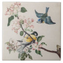 Buscar manzana azulejos Para ella