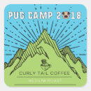 Buscar campe cuadradas pegatinas Campamento