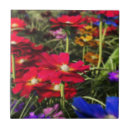 Buscar iridiscente azulejos Para ella