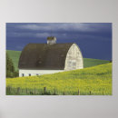 Buscar gulin del darrell posters Naturaleza