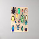 Buscar insecto fresco arte Insectos