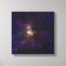 Buscar carina lienzos Brillante