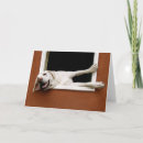 Buscar tommy postales Perro