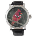 Buscar cardenales accesorios Cardenal del norte