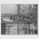 Buscar viejo oeste papel de regalo Vaquero