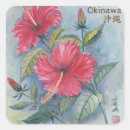 Buscar okinawa pegatinas Ryukyu