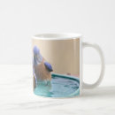 Buscar bluebirds tazas Pájaros