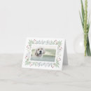 Buscar perro tarjetas Para ella