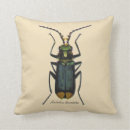 Buscar biología cojines Entomología