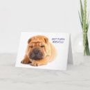 Buscar shar pei tarjetas Perrito