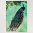 Buscar pavo real puzzles Colorido
