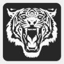 Buscar tigre blanco pegatinas General y unisex
