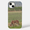 Buscar medio caballo fotografía Animales