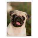 Buscar carlin postales Cervatillo