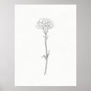 Buscar carnation arte Flower
