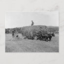 Buscar heno postales Granja