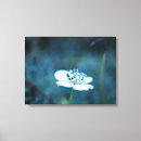 Buscar verano lienzos Blanco