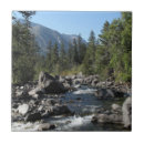 Buscar río azulejos Fotografía