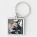Buscar labrador retriever llaveros Vacaciones