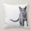 Buscar gato azul ruso cojines Gatos