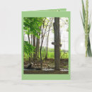 Buscar trucha tarjetas Naturaleza