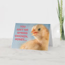 Buscar pollo de primavera tarjetas Para ella