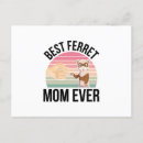 Buscar hurón postales Animales