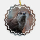 Buscar nutria adornos Nutria de mar