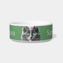 Buscar raza mascotas Gatos