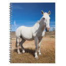 Buscar chile libretas América latina