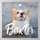 Buscar memorias posters Simple