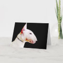 Buscar bull terrier tarjetas Toro