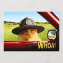 Buscar patrulla postales Divertido