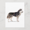 Buscar huskie postales Cachorro