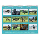 Buscar sementales calendarios Yegua