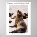 Buscar león marino arte Leones