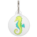 Buscar vida marina collares Playa