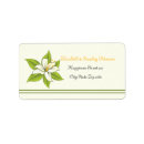 Buscar lily etiquetas Moderno