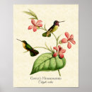 Buscar historia amantes posters General y unisex