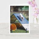 Buscar entrenamiento tarjetas General y unisex
