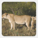 Buscar kenya pegatinas Horizontal