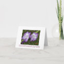 Buscar gladiolos tarjetas Flores