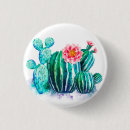 Buscar cactus del desierto chapas Para ella