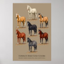 Buscar negro sólido posters Blanco